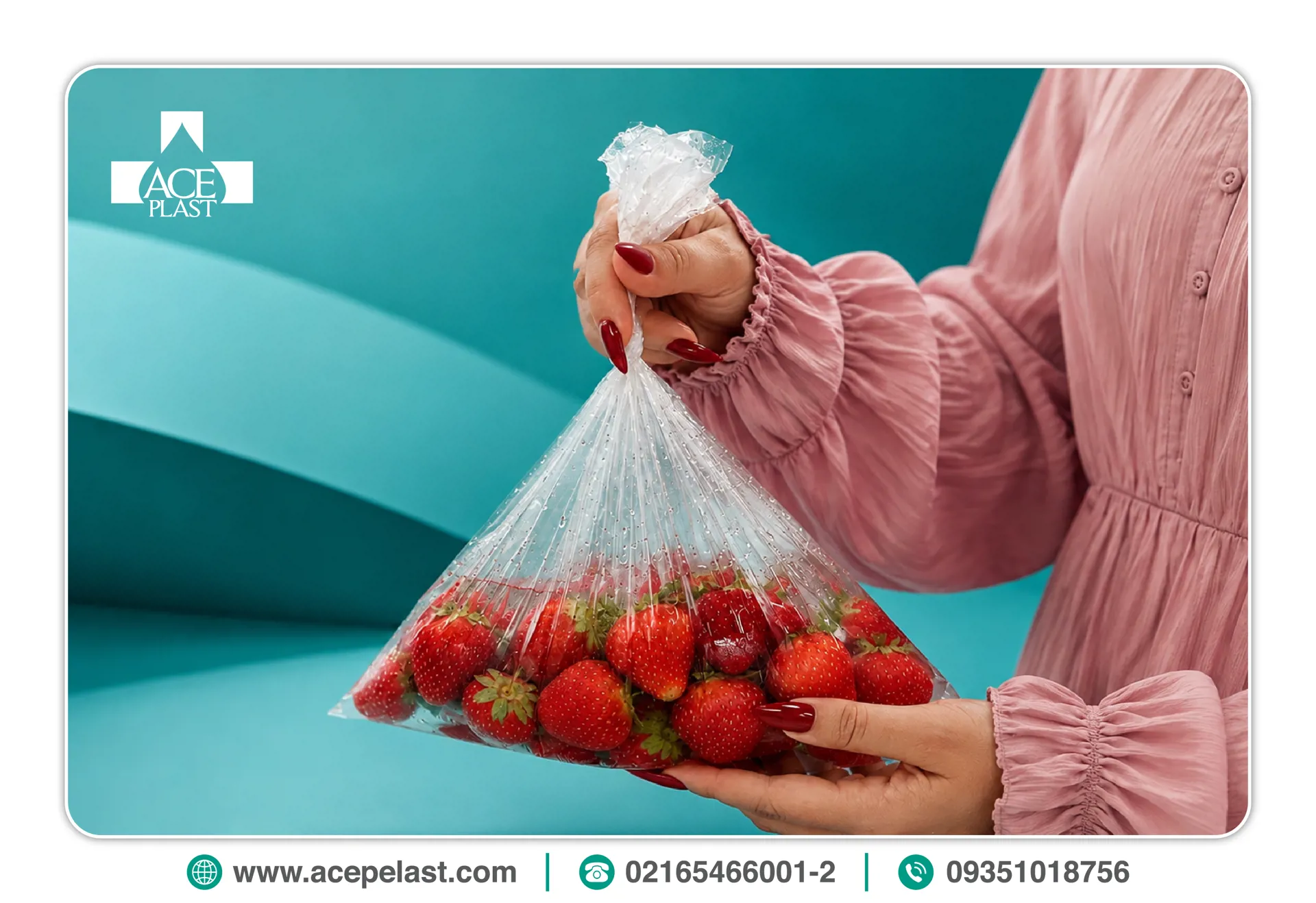 خرید نایلکس فریزر